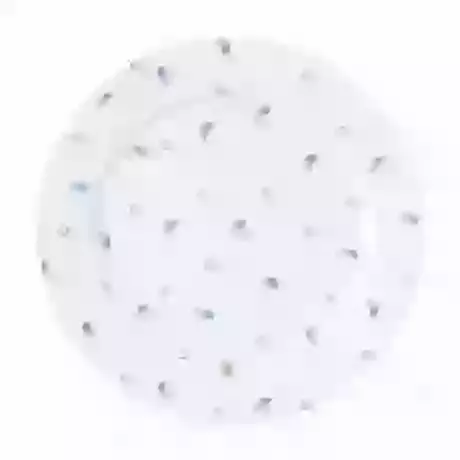 10″ China Plate